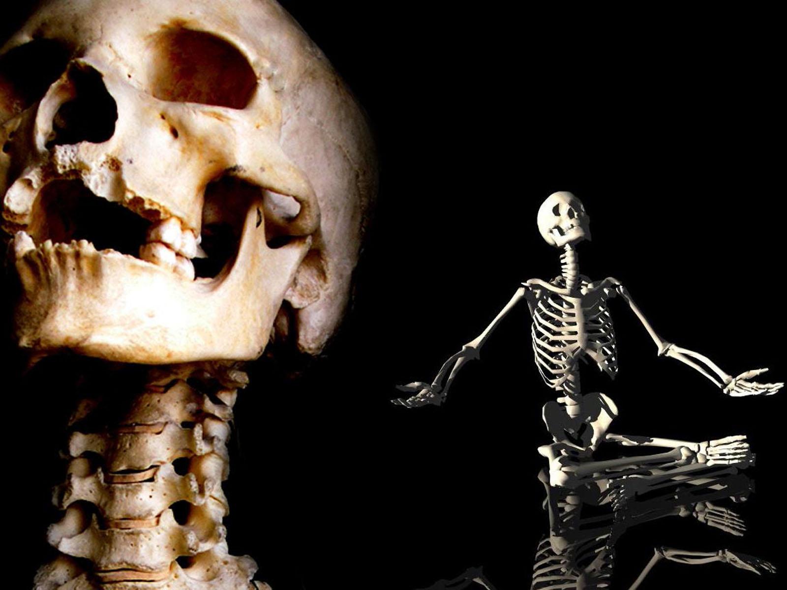 1600x1200 Human Skeleton HD Wallpaper