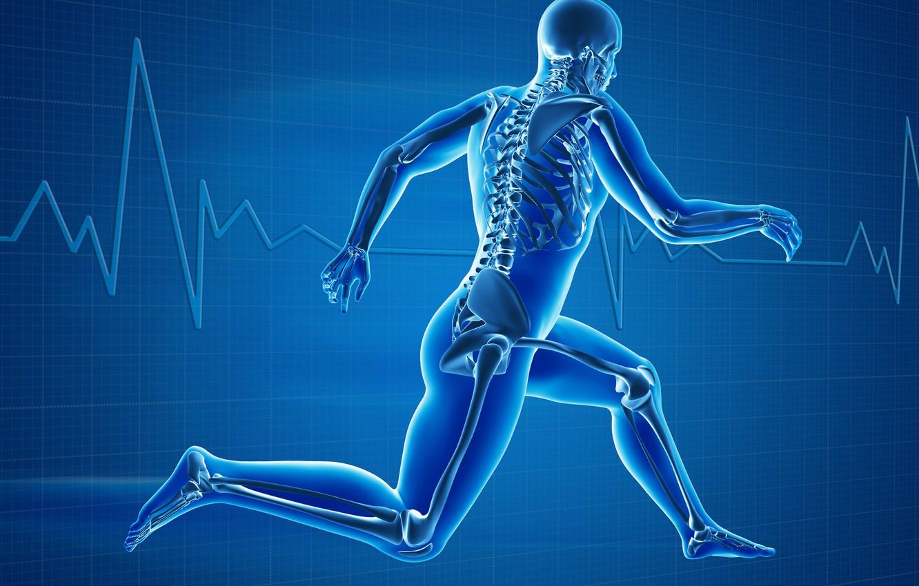 1332x850 Wallpaper body, human, bones image for desktop, section рендеринг