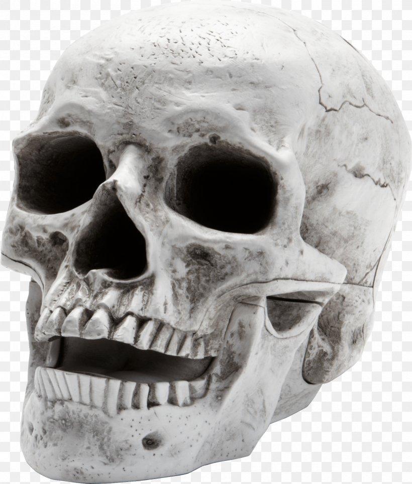 820x964 Skull Wallpaper, Png, 1795x2111px, Human Skeleton, Head Png