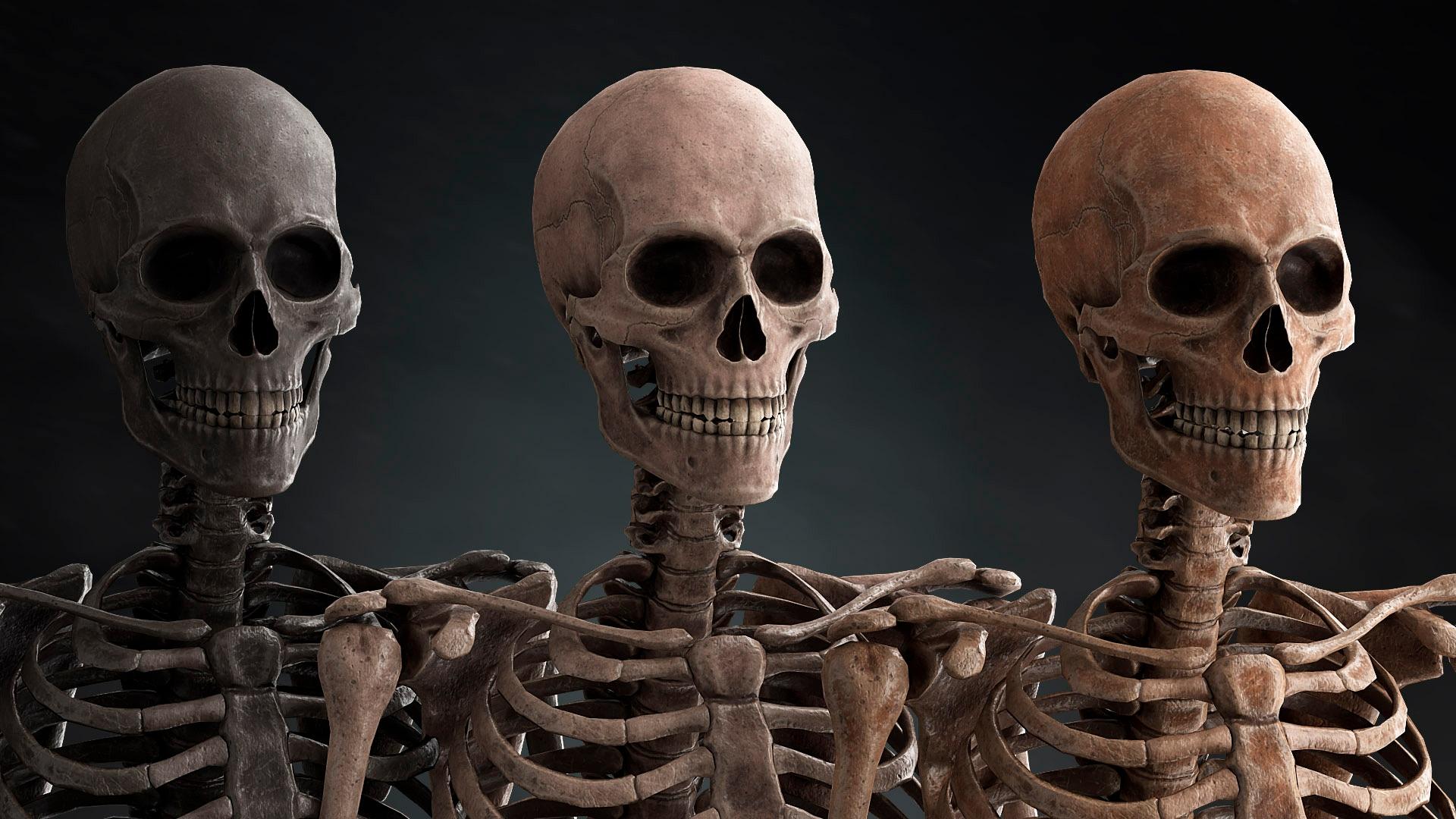 1920x1080 Realistic Skeleton in Characters