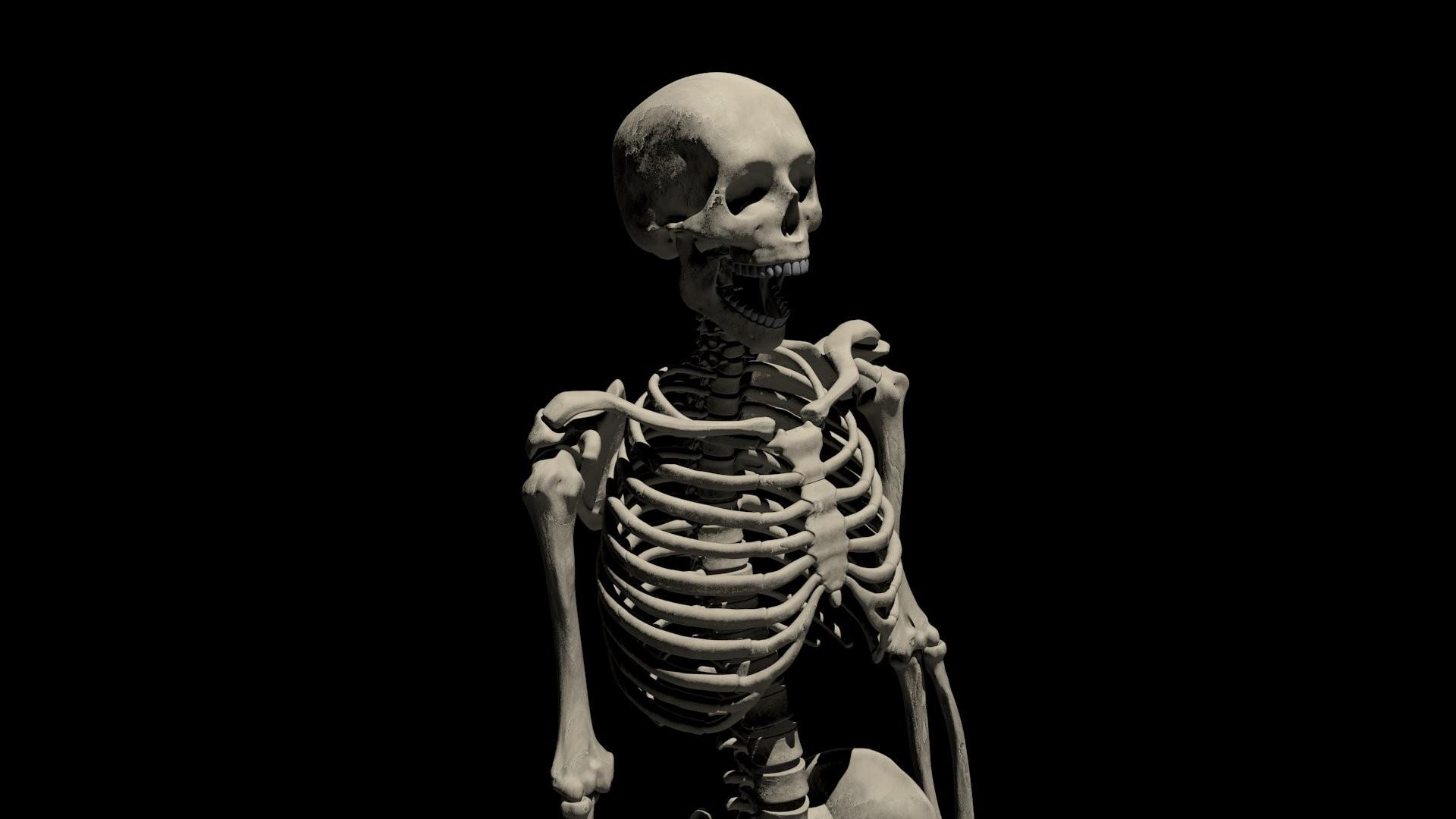 1920x1080 Human Skull Wallpaper