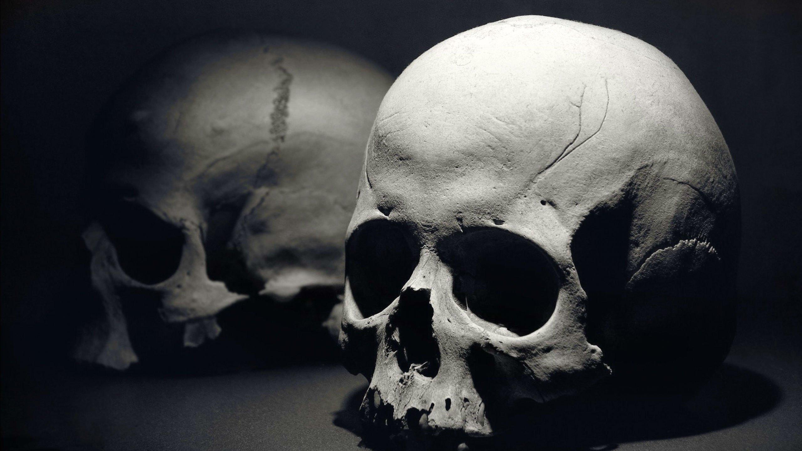 2560x1440 dark, Skull, Evil, Horror, Skulls, Art, Artwork, Skeleton Wallpaper HD / Desktop and Mobile Background