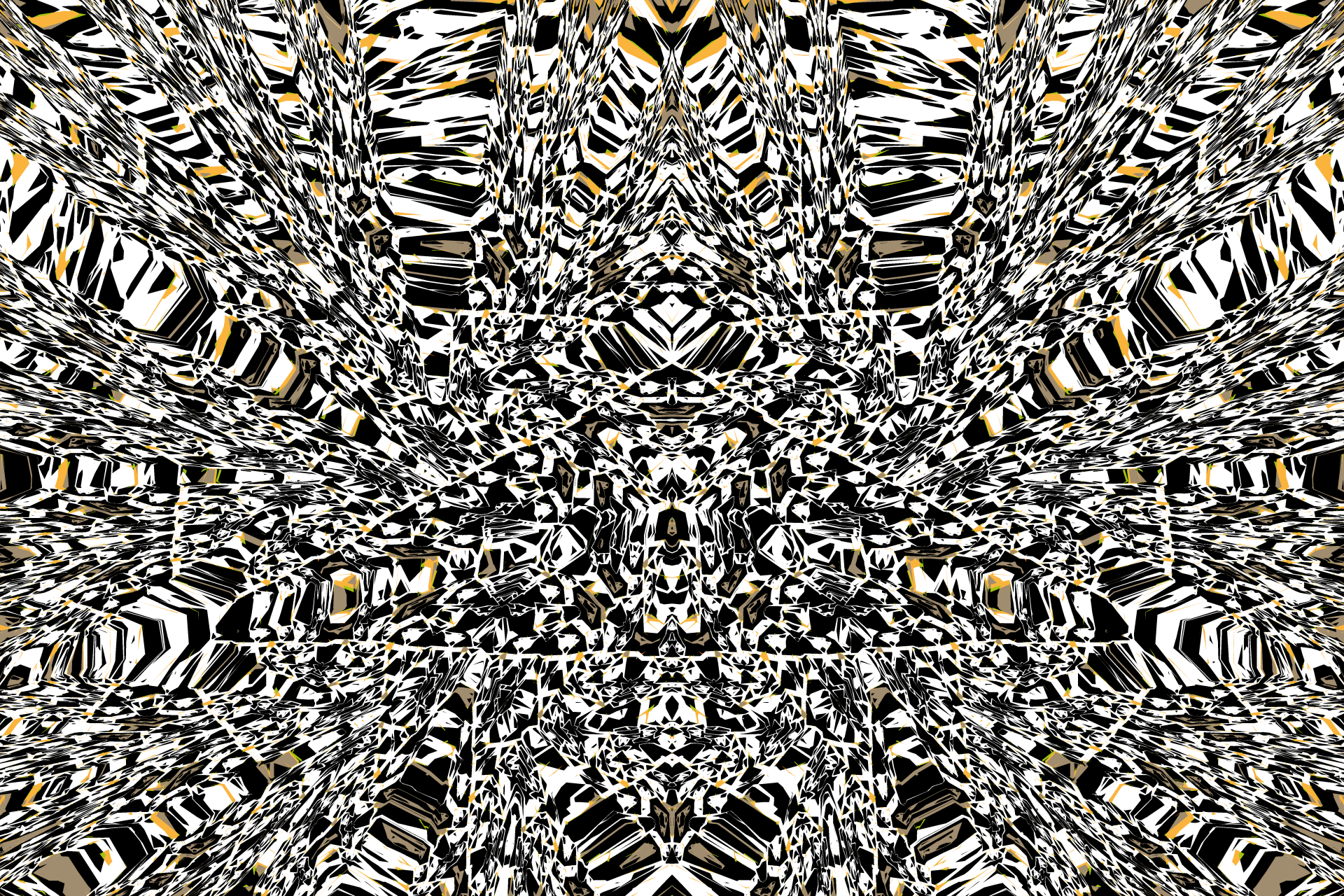 1920x1280 Cryptic Moth Free Domain Picture