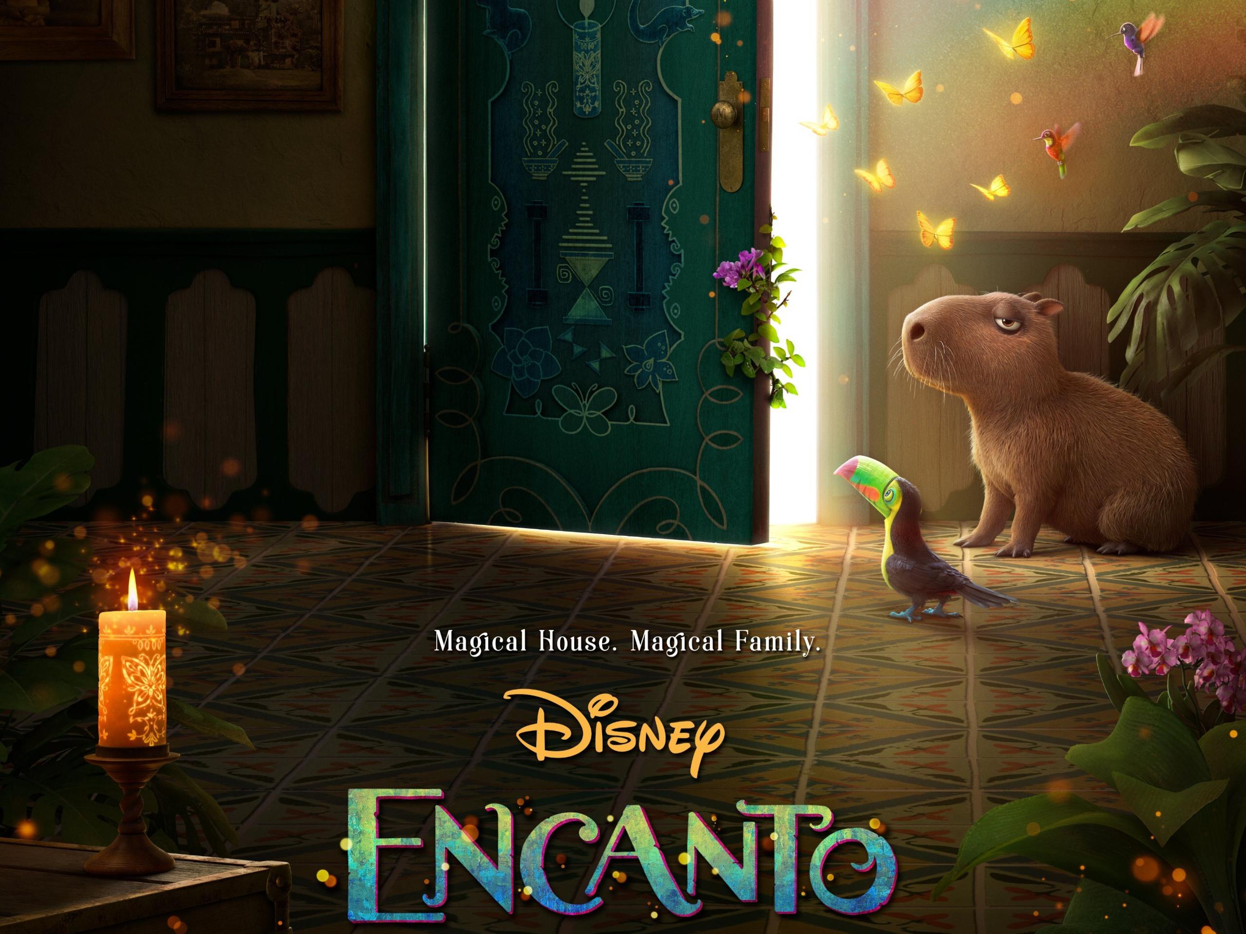2560x1919 Encanto HD Wallpaper