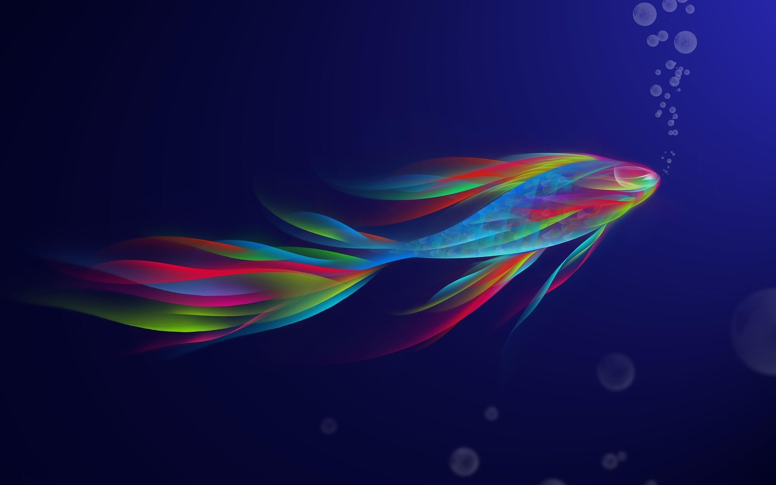 2560x1600 Rainbow Fish YouTube Channel Cover