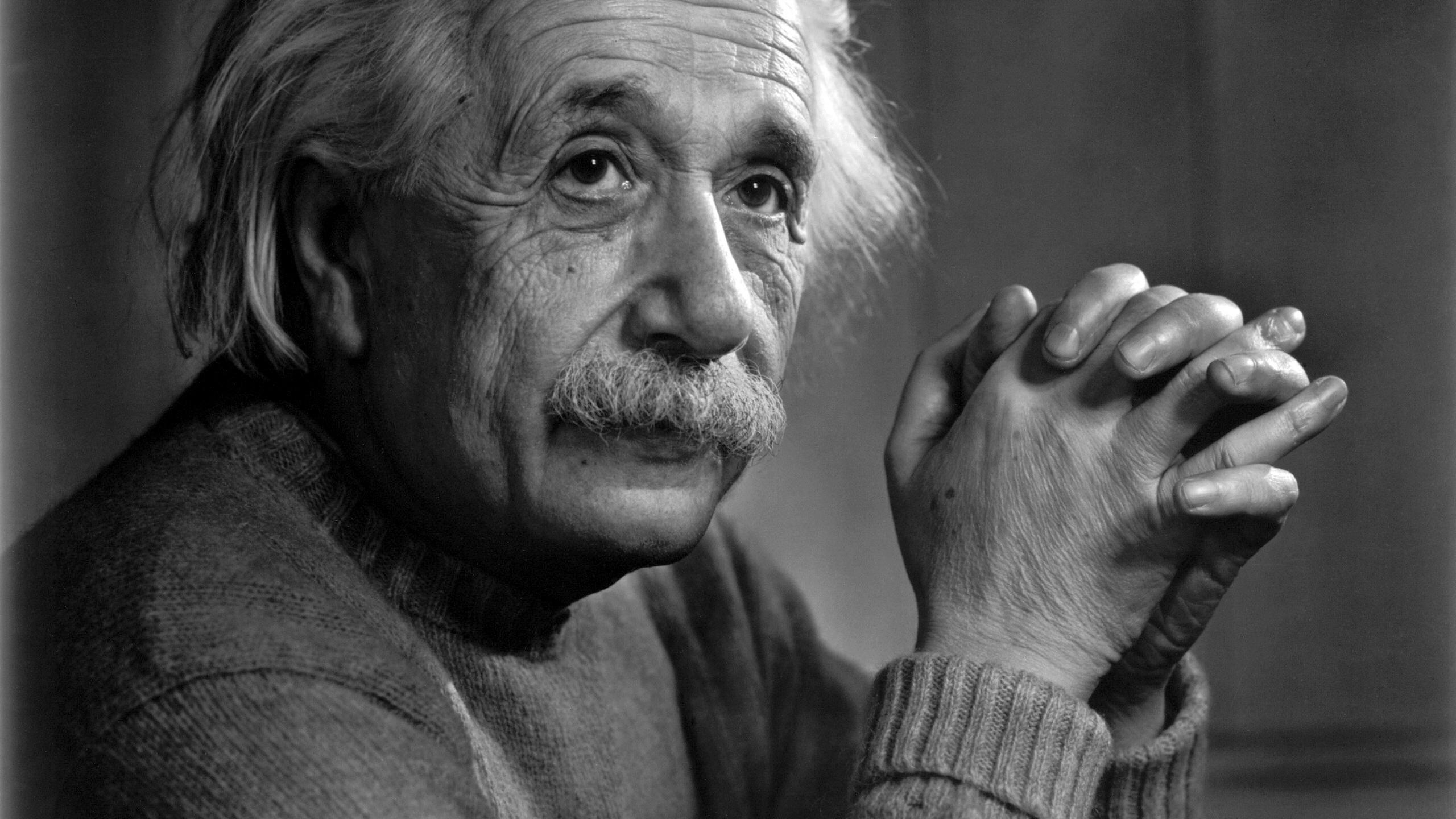 2560x1440 science men physics albert einstein scientists gray hair great man relativity theory 2560x1440 wa High Quality Wallpaper, High Definition Wallpaper