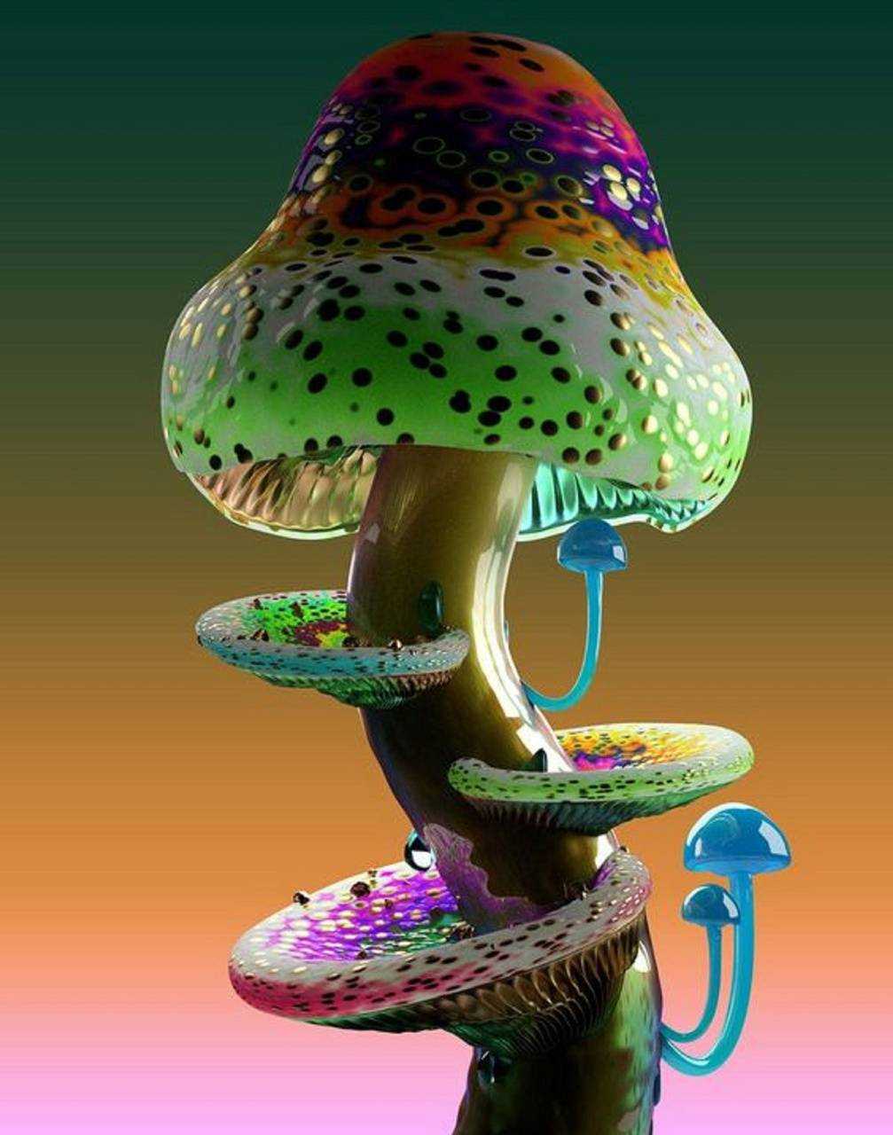 1007x1280 Mushroom Wallpaper