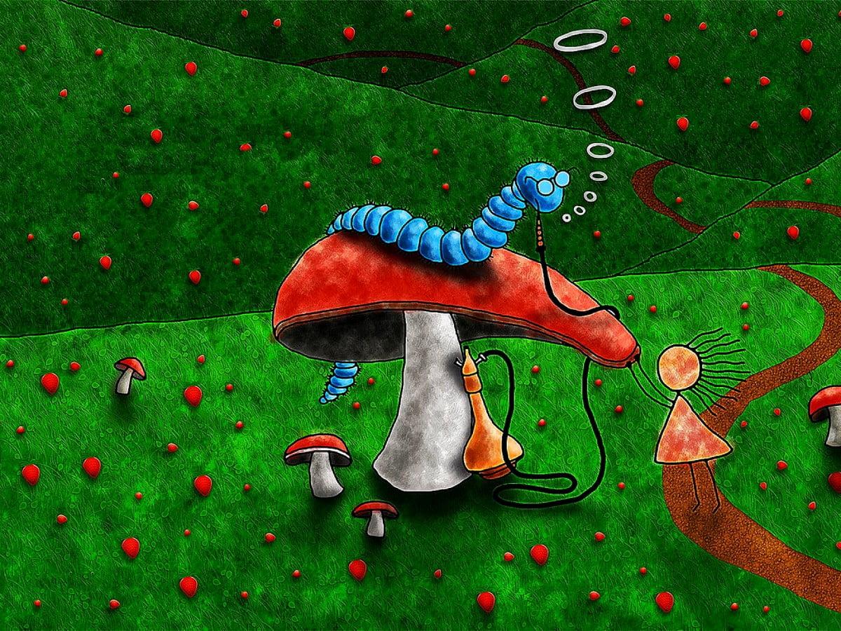 1200x900 Mushroom wallpaper HD. Download Free background
