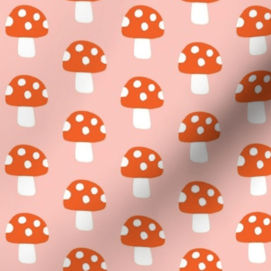 Mushroom Aesthetic Wallpapers - Top Free Mushroom Aesthetic Backgrounds