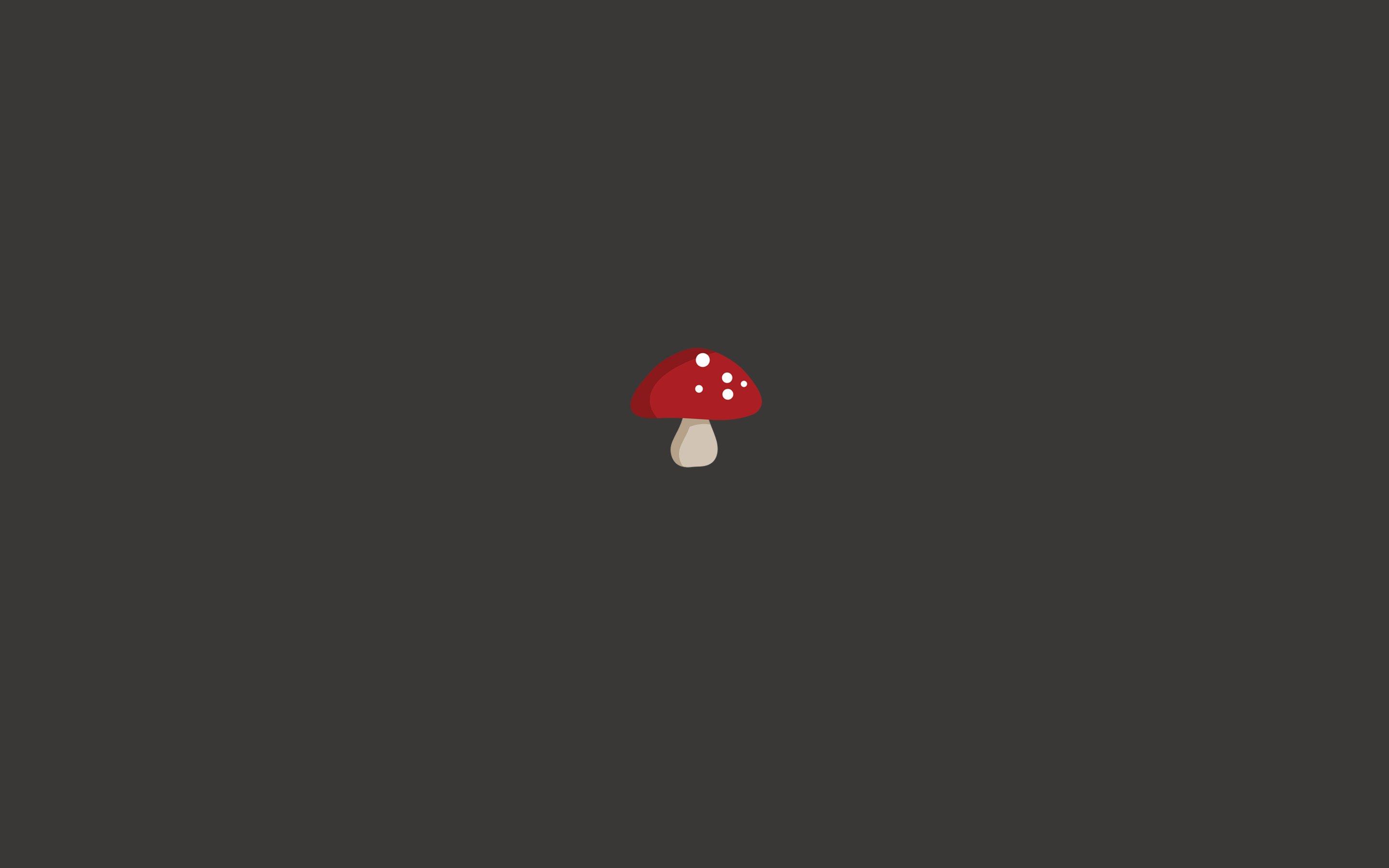 2880x1800 Minimalist mushrooms wallpaperx1800