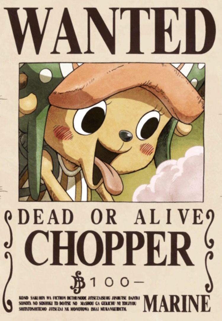 750x1082 Straw Hat Wanted Posters. One Piece Anime. One piece bounties, Manga anime one piece, One piece wallpaper iphone