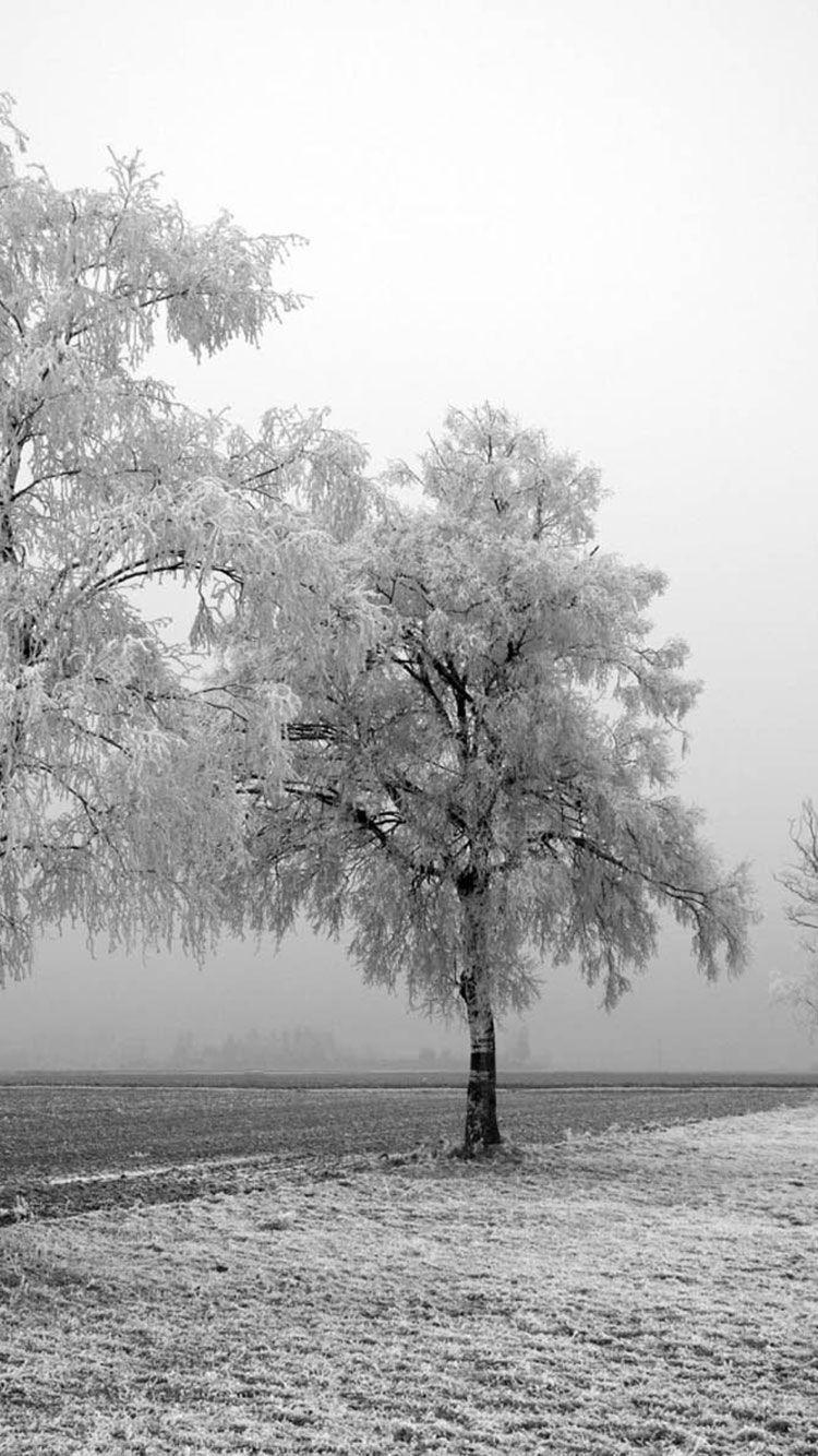 750x1334 Winter iPhone Wallpaper
