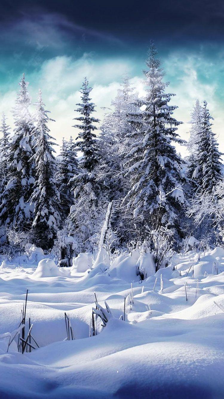 Tải bộ hình nền mùa đông đẹp dành cho điện thoại iPhone
