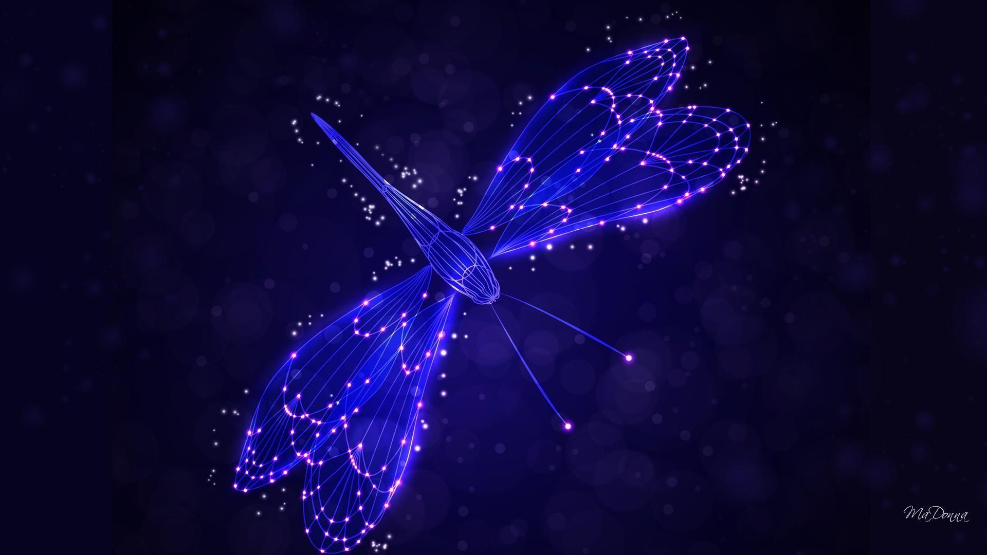 Dragonfly 4K wallpapers for your desktop or mobile screen free and easy to  download