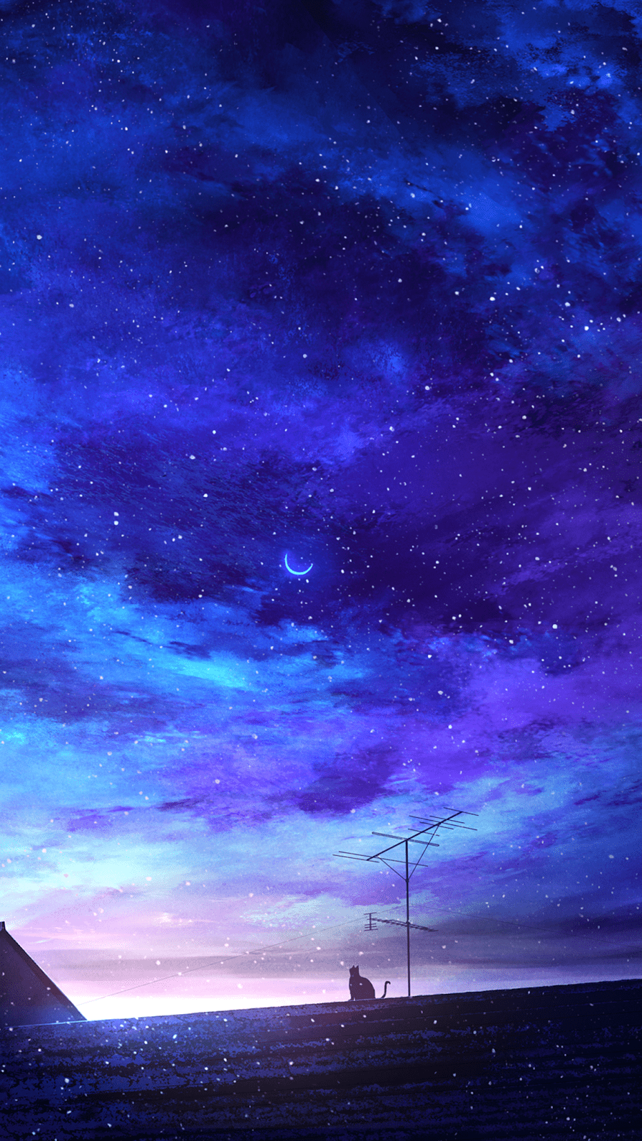 900x1600 Anime Night Sky Wallpaper