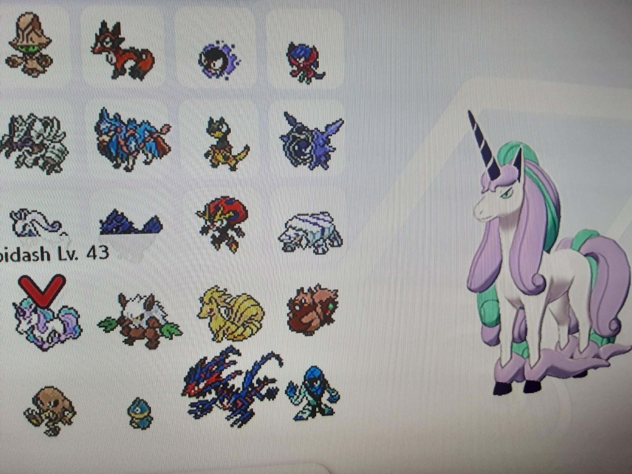 2048x1536 Anybody got a Slurpluff to trade for my Galarian Rapidash?. Pokémon Amino