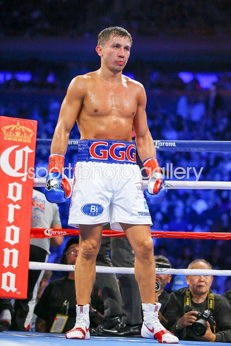 Gennady Golovkin Wallpapers - Top Free Gennady Golovkin Backgrounds