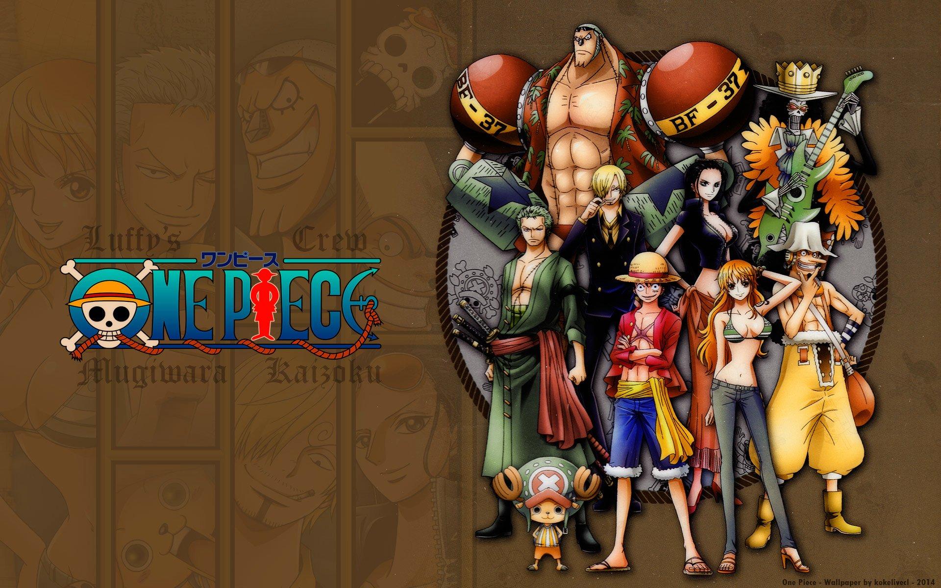 King One Piece Wallpapers - Top Free King One Piece Backgrounds ...