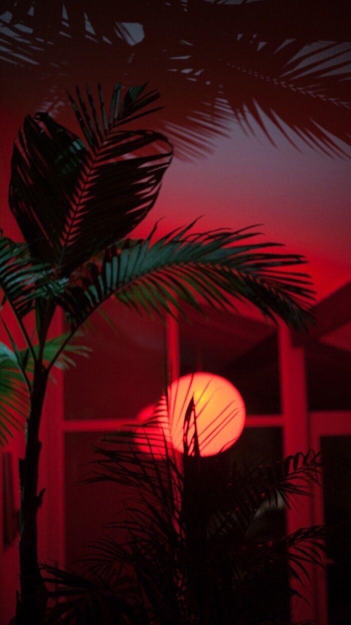 Download Neon red aesthetic at night Wallpaper  Wallpaperscom
