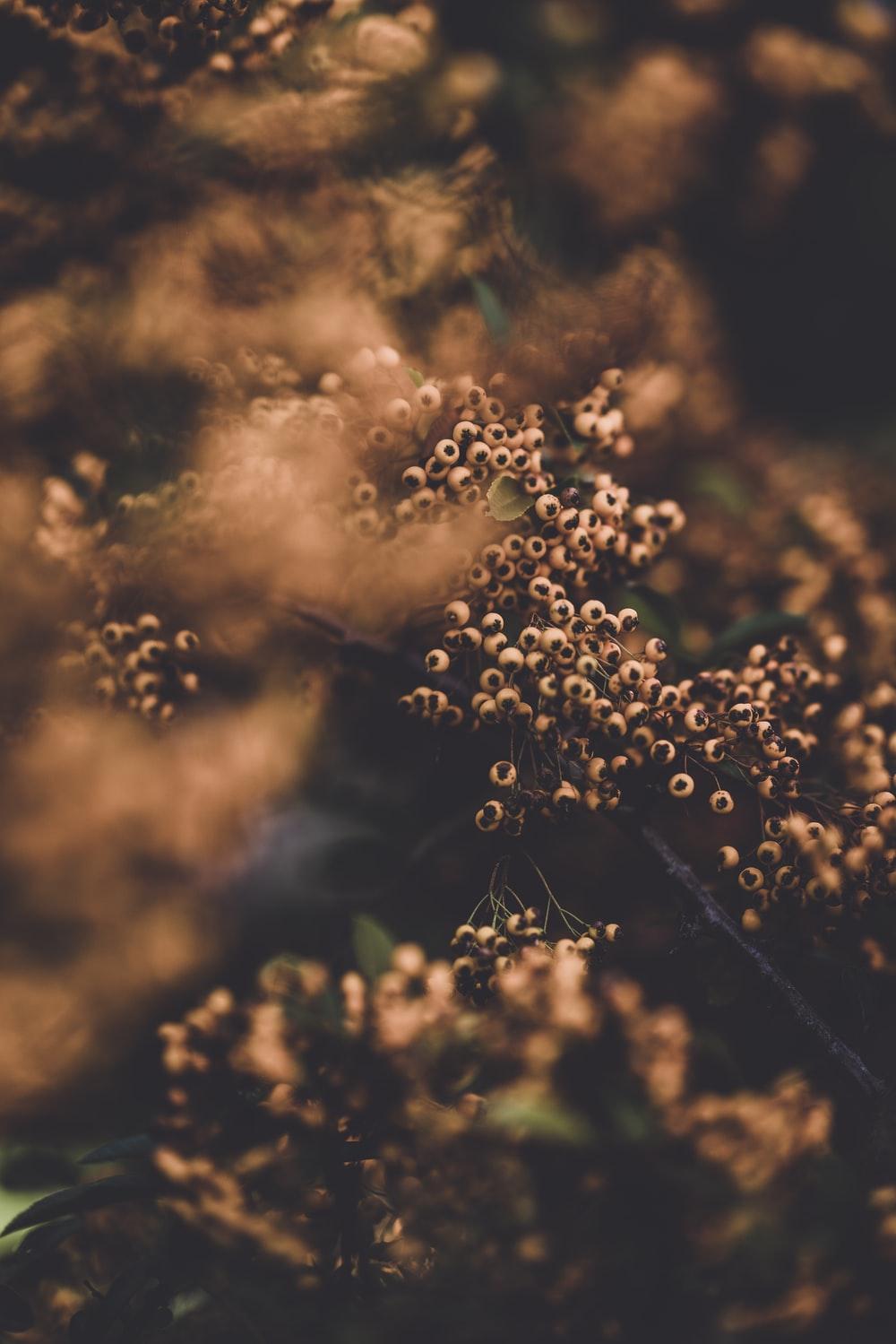 1000x1499 Moody Nature Picture. Download Free Image