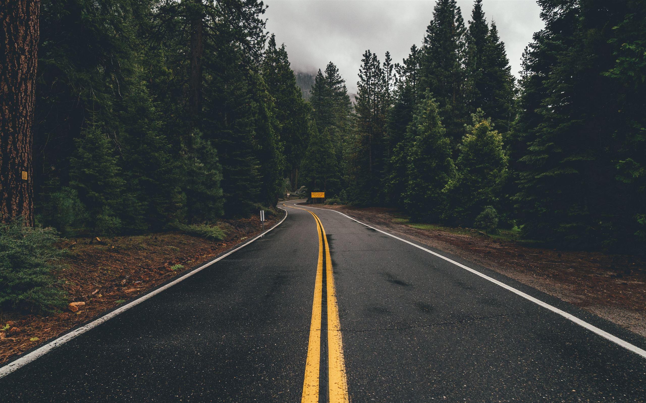 Moody Nature Wallpapers - Top Free Moody Nature Backgrounds