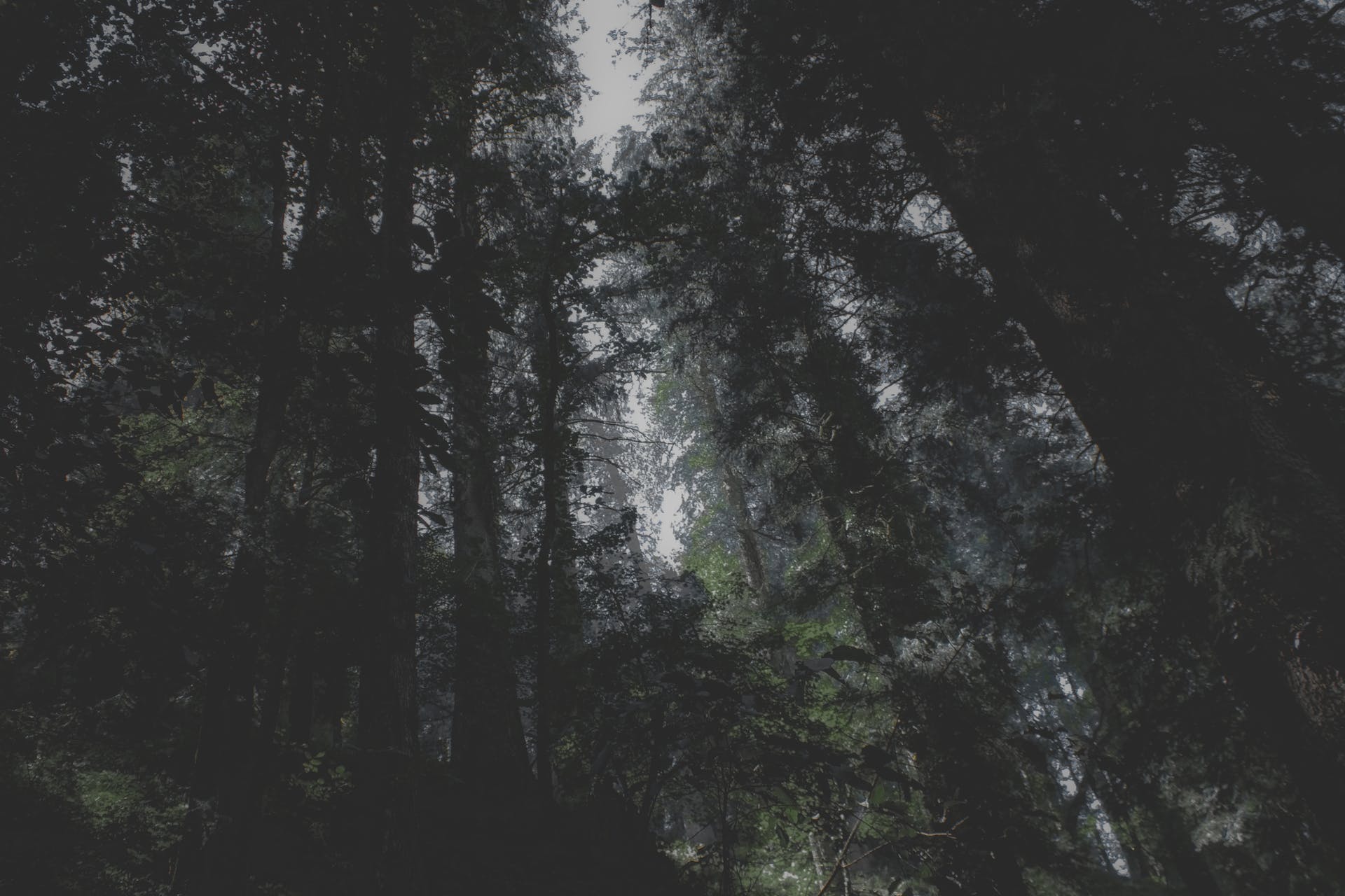 Moody Nature Wallpapers - Top Free Moody Nature Backgrounds