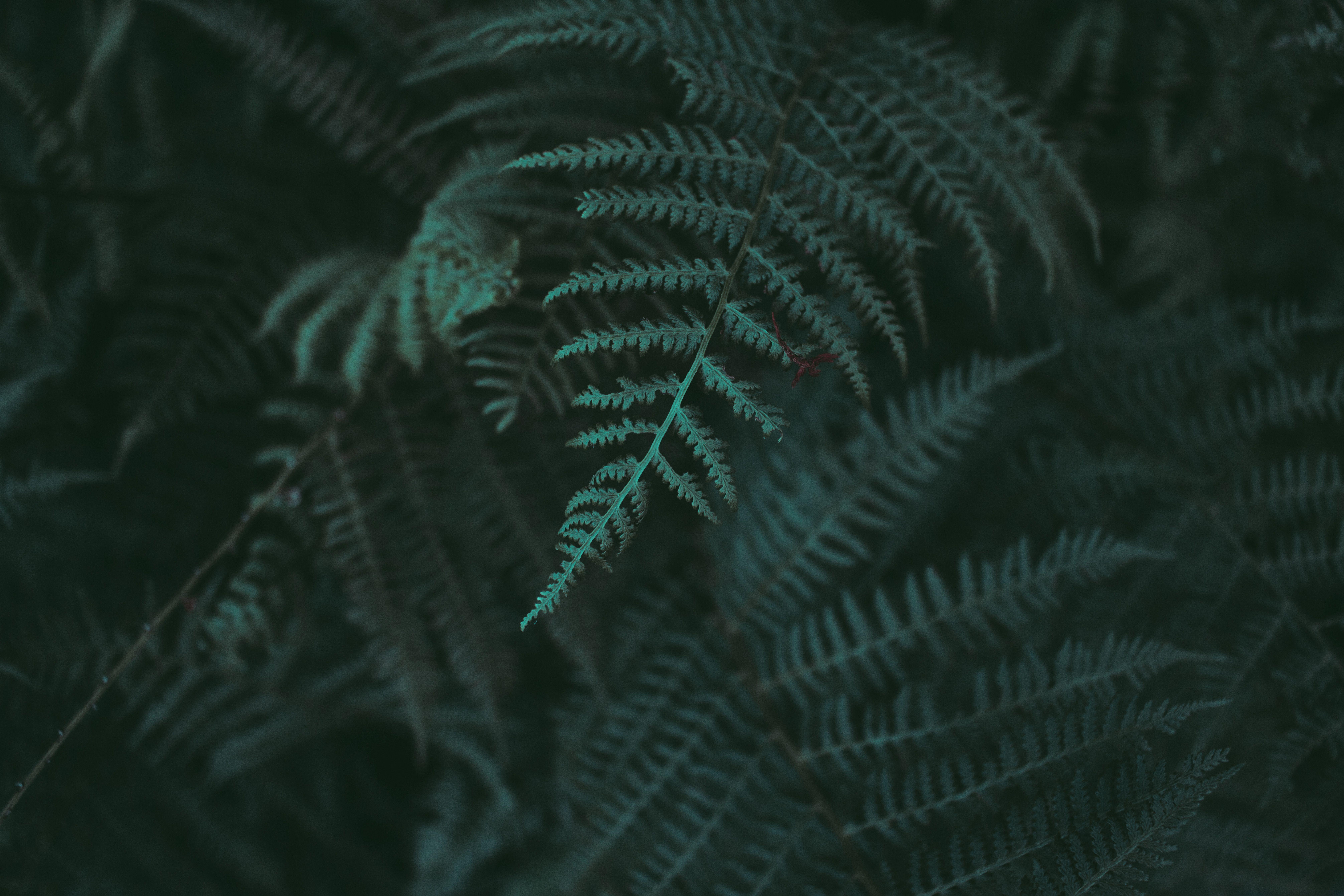 8047x5365 Dark Moody Wallpaper