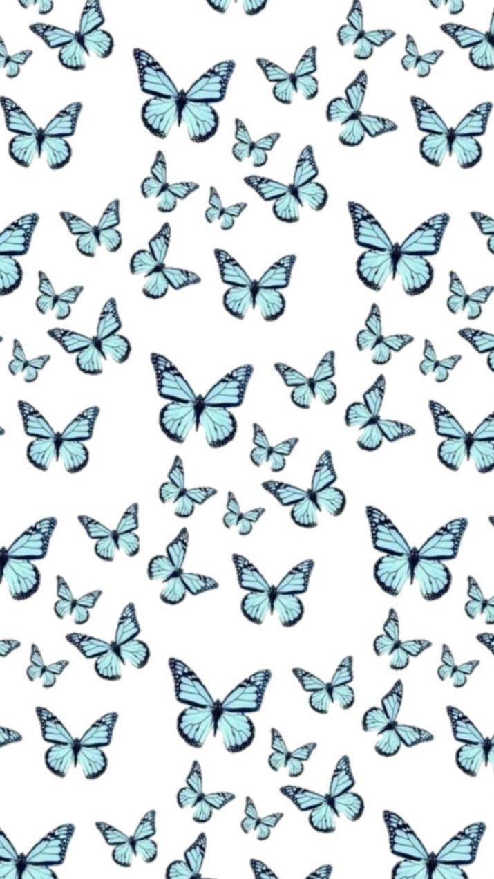 Preppy Blue Wallpaper  NawPic