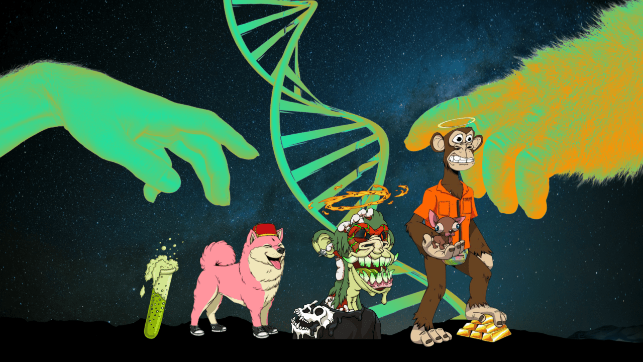 1280x720 The Bored Ape NFT Family Tree