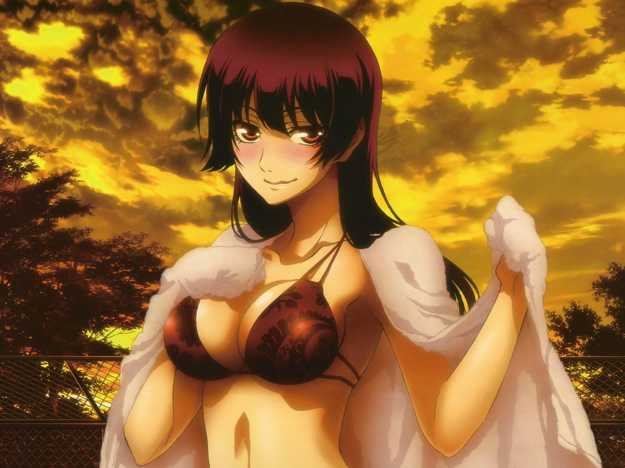 2560x1920 Dusk Maiden of Amnesia Wallpaperx1920