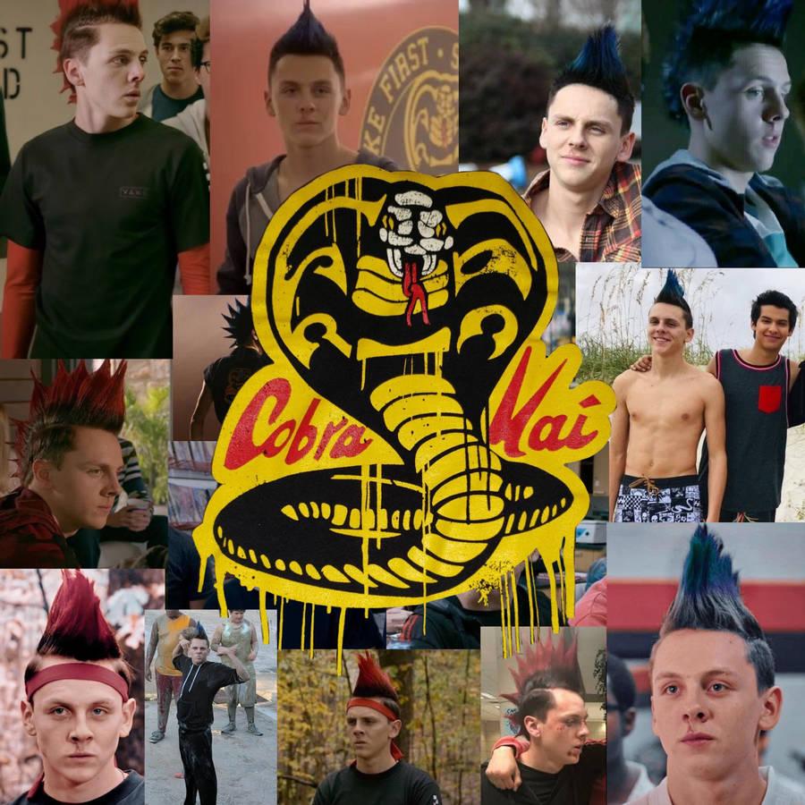 900x900 Download Cobra Kai Hawk Compilation Wallpaper