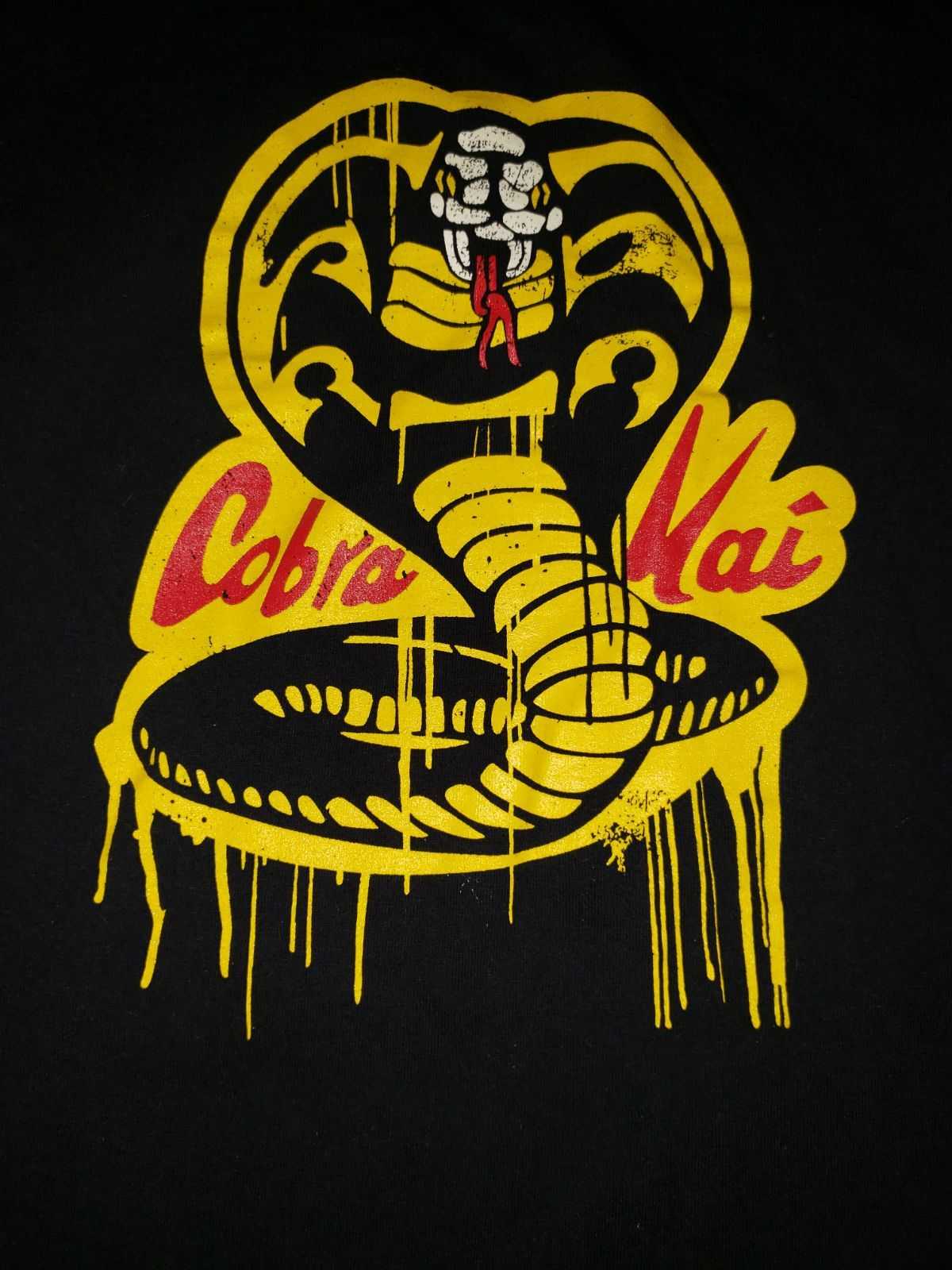 Hawk Cobra Kai Wallpapers - Top Free Hawk Cobra Kai Backgrounds ...