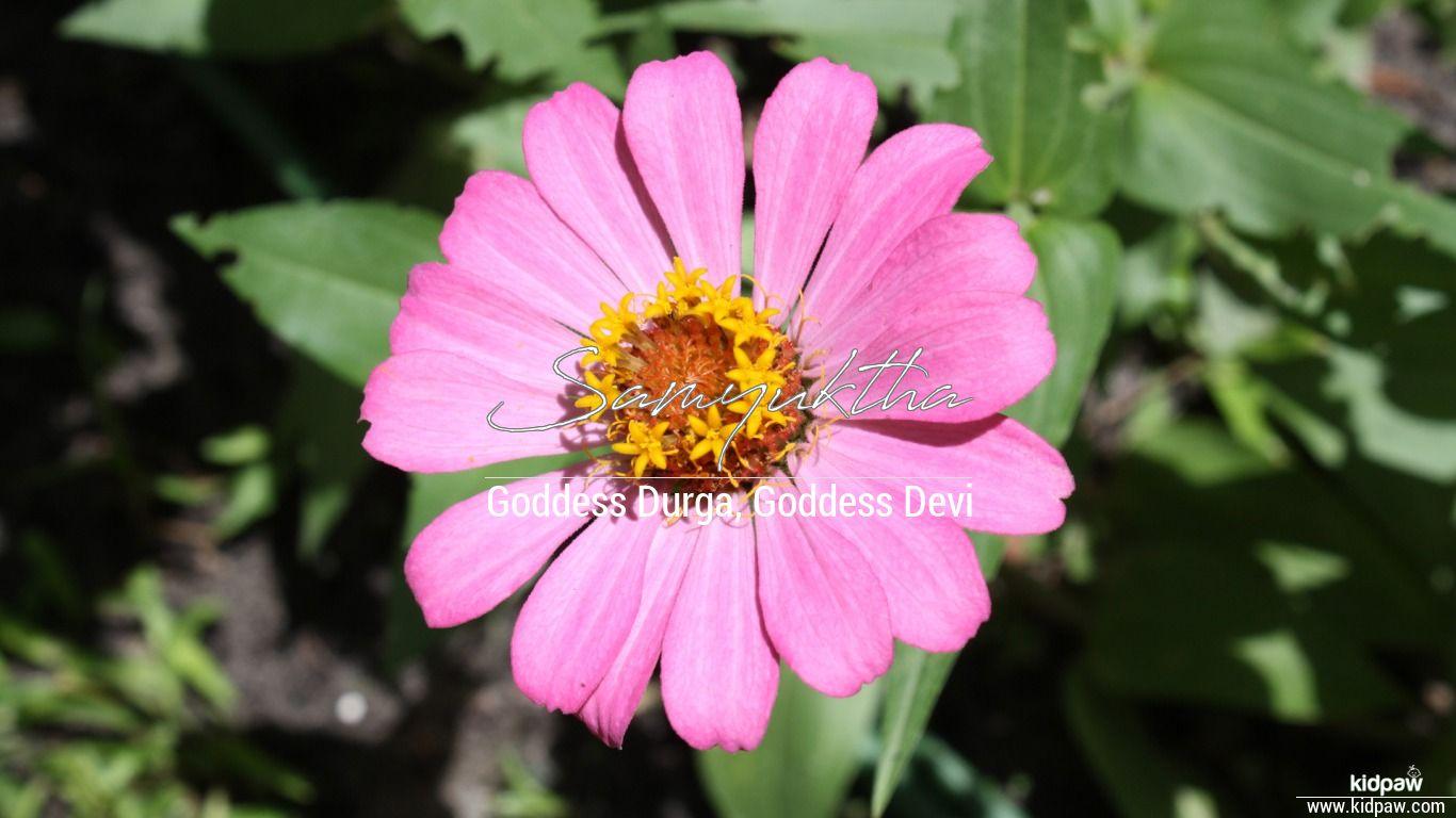 1366x768 Samyuktha 3D Name Wallpaper for Mobile, Write सम्युंक्था Name on Photo Online