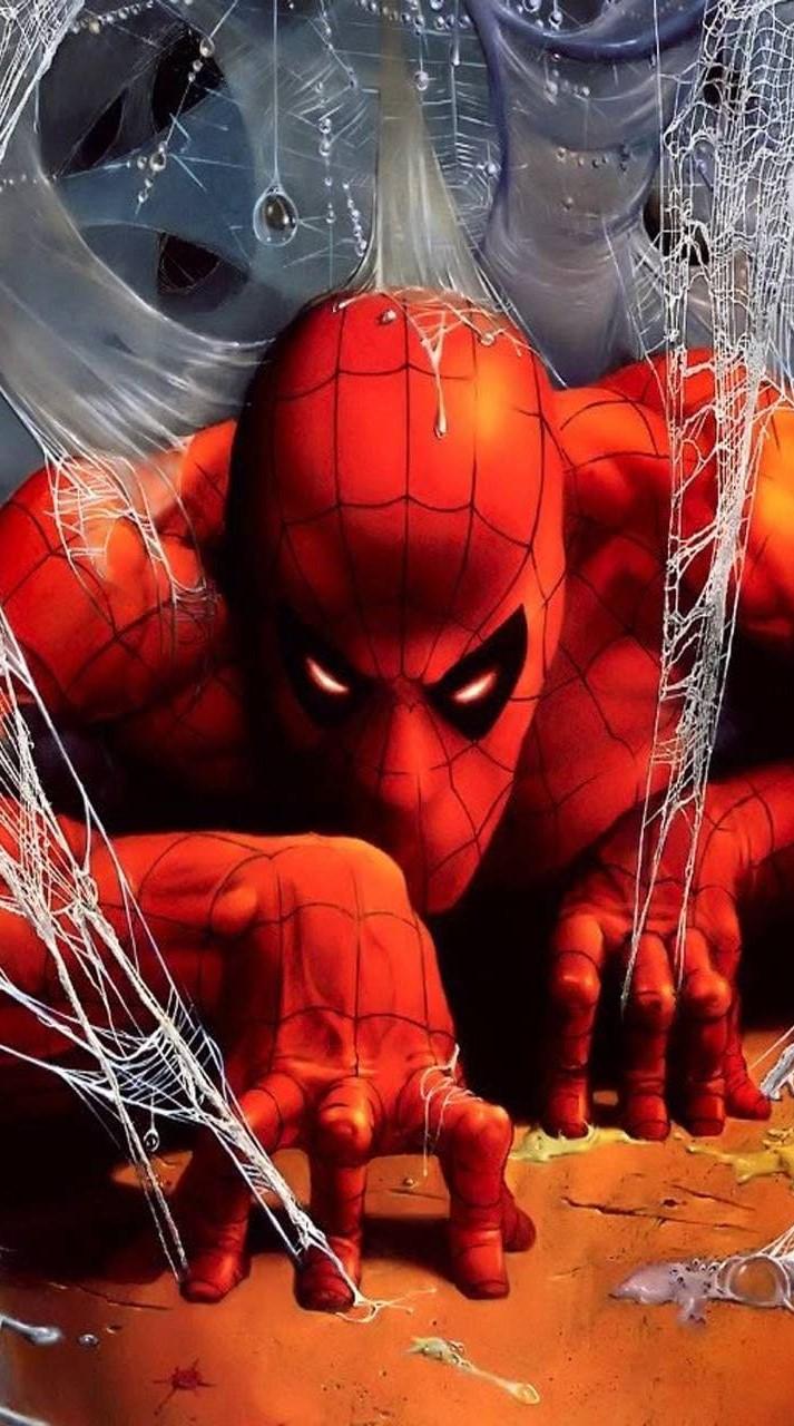 713x1280 Spiderman Wallpaper[ Desktop, iPhone, Android, Mobile]
