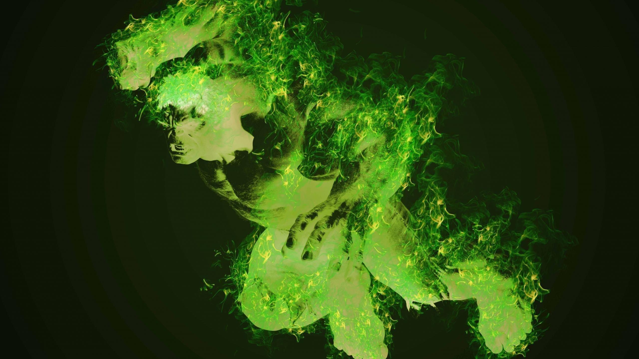 2560x1440 Download HD 2560x1440 Hulk desktop wallpaper for free