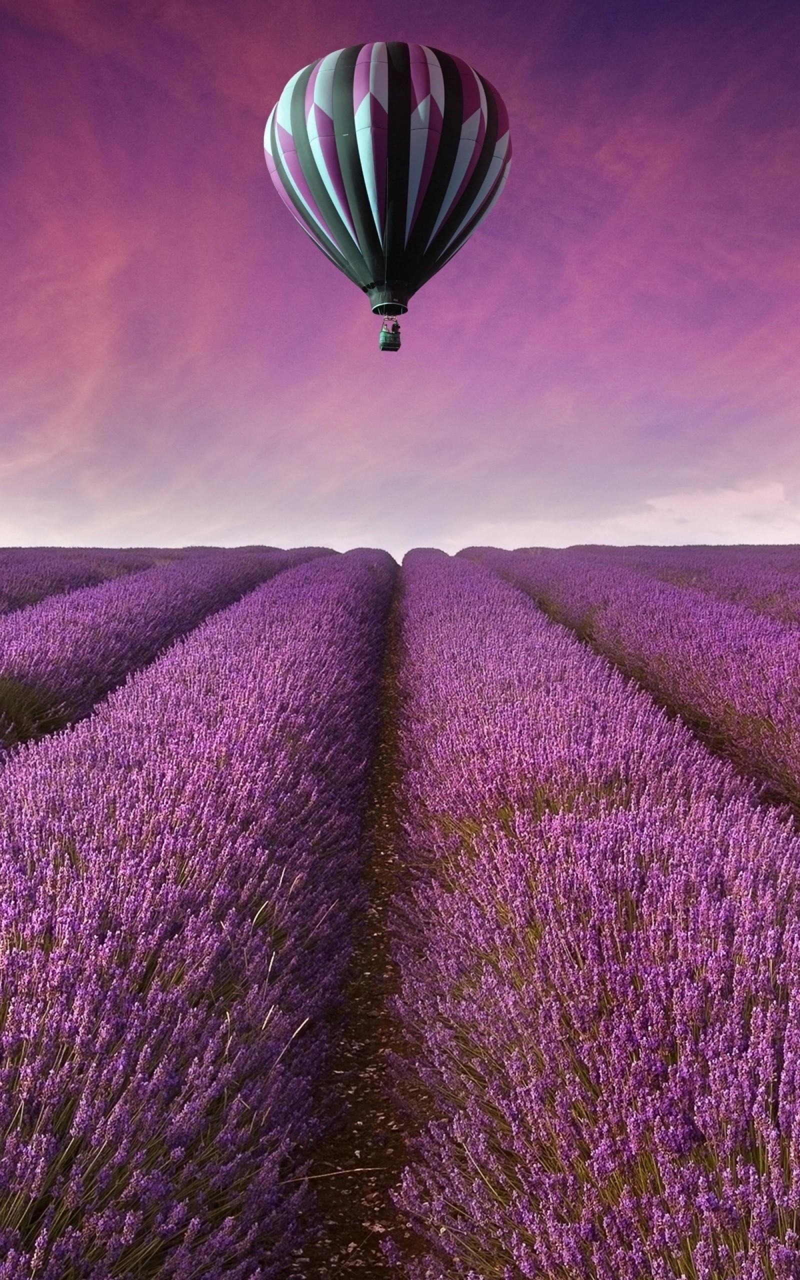 Purple Balloons Wallpapers - Top Free Purple Balloons Backgrounds