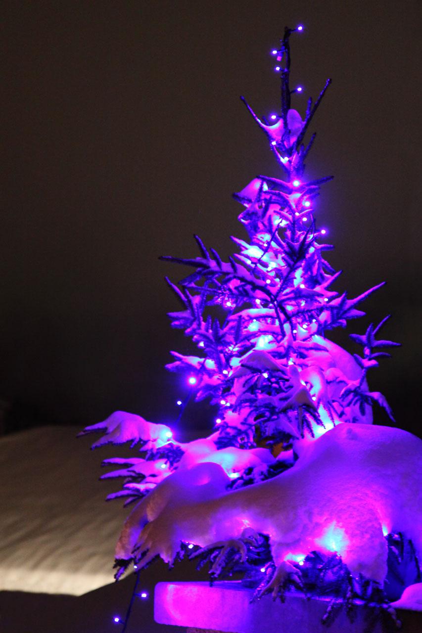 853x1280 Purple Christmas Tree Free Domain Picture