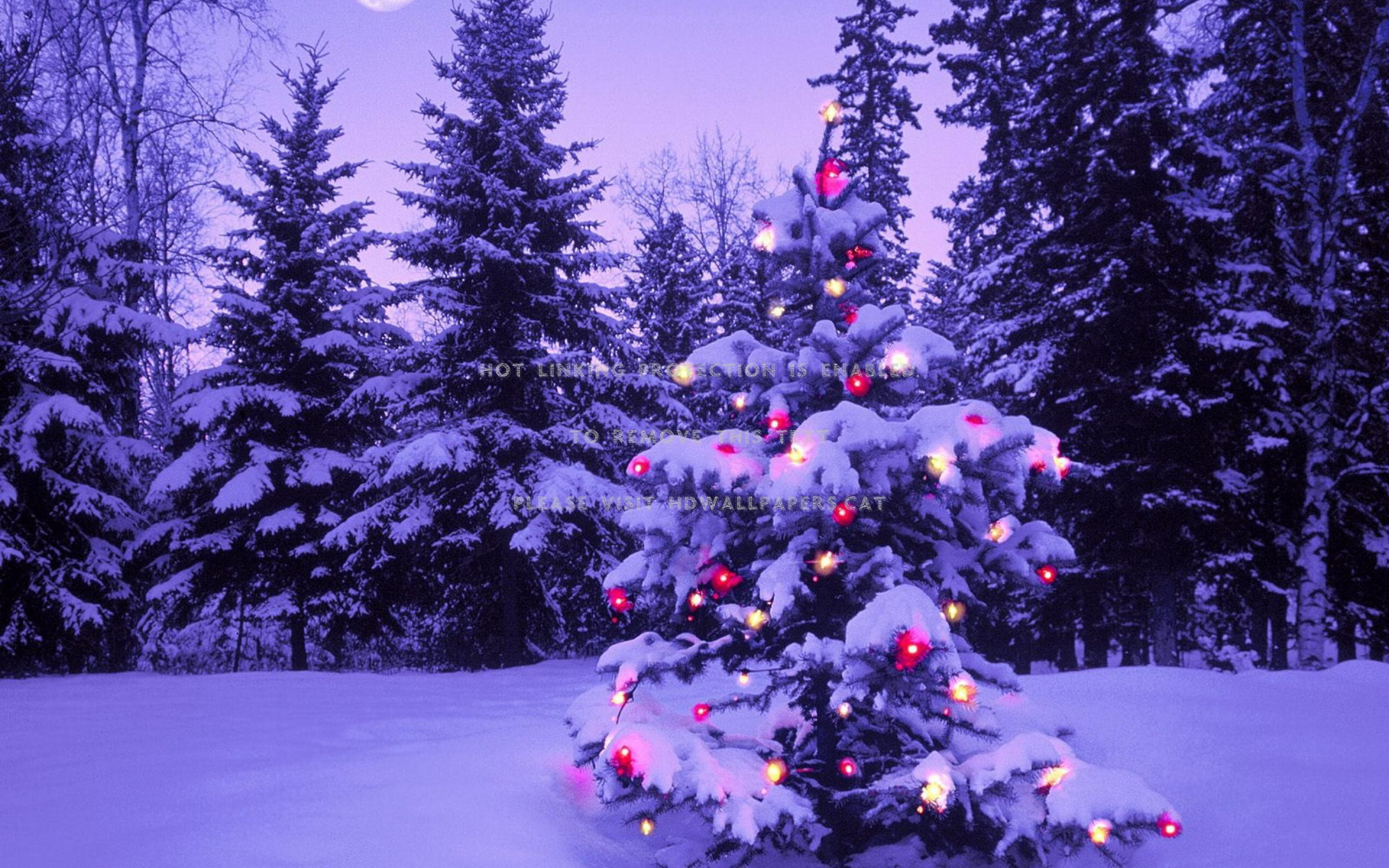 2880x1800 ღ.christmas tree in purple.ღ holidays