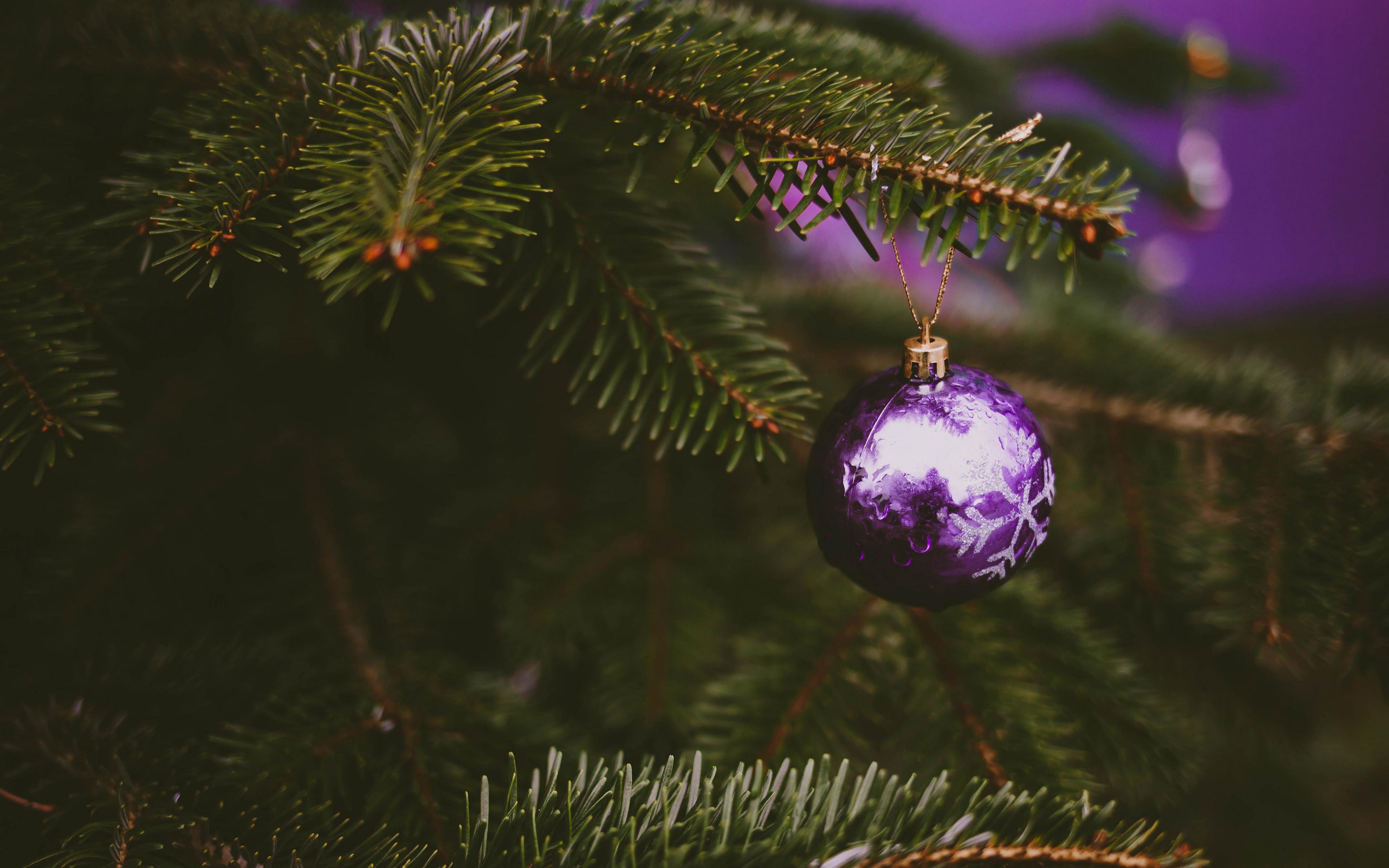 3840x2400 Wallpaper Tree, Decoration, Ball, Purple, Holiday