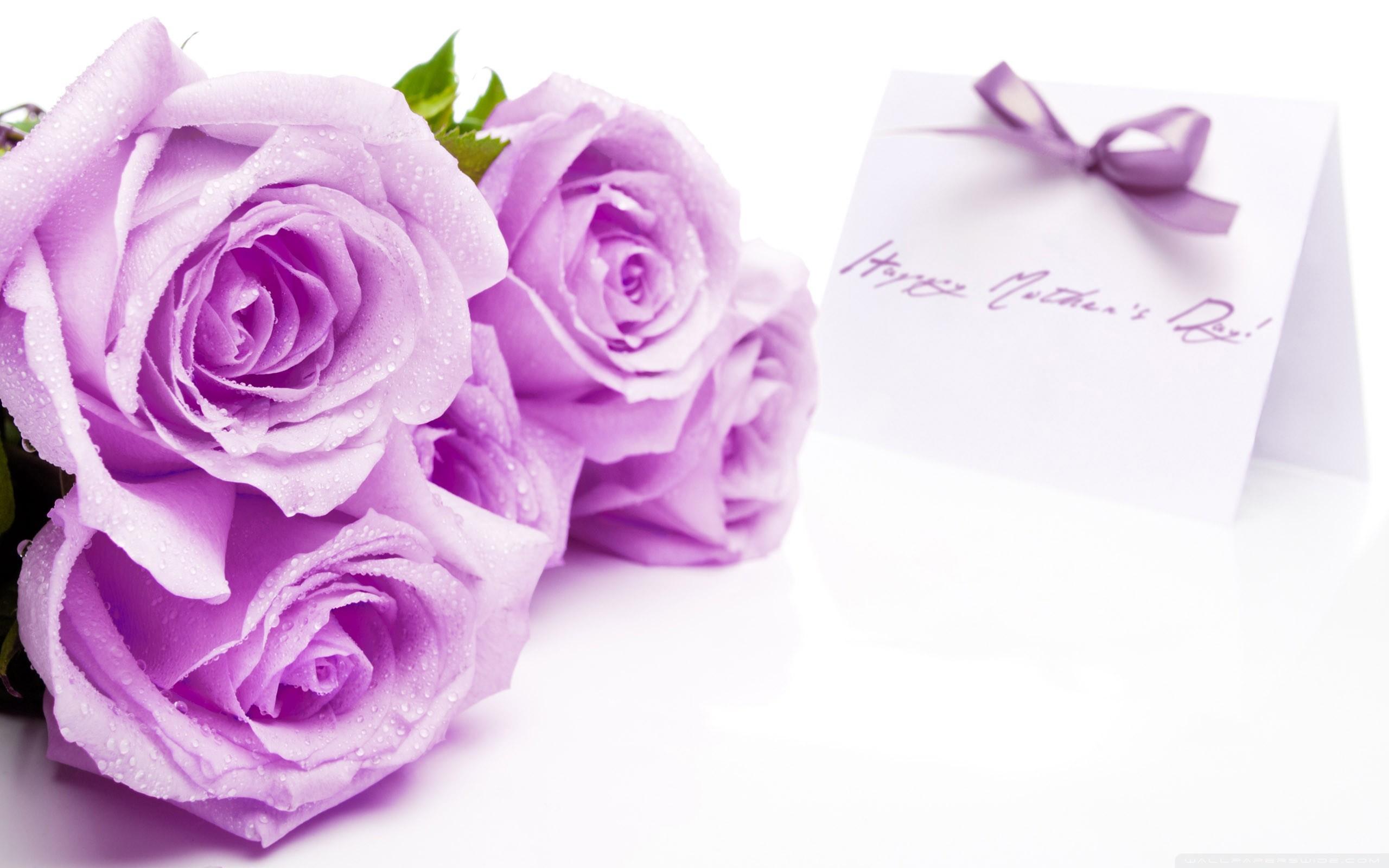 2560x1600 Purple Mother's Day Wallpaper