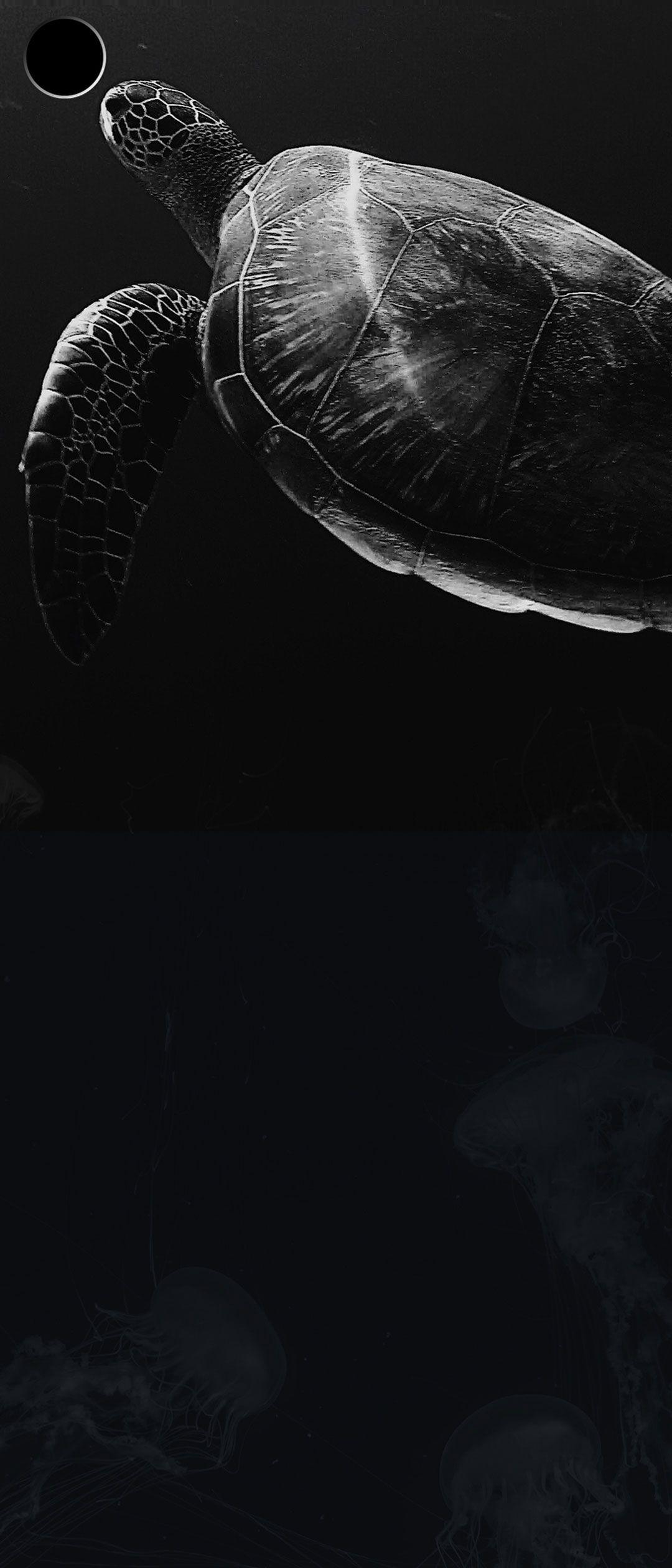 1080x2520 Motorola Edge Wallpaper