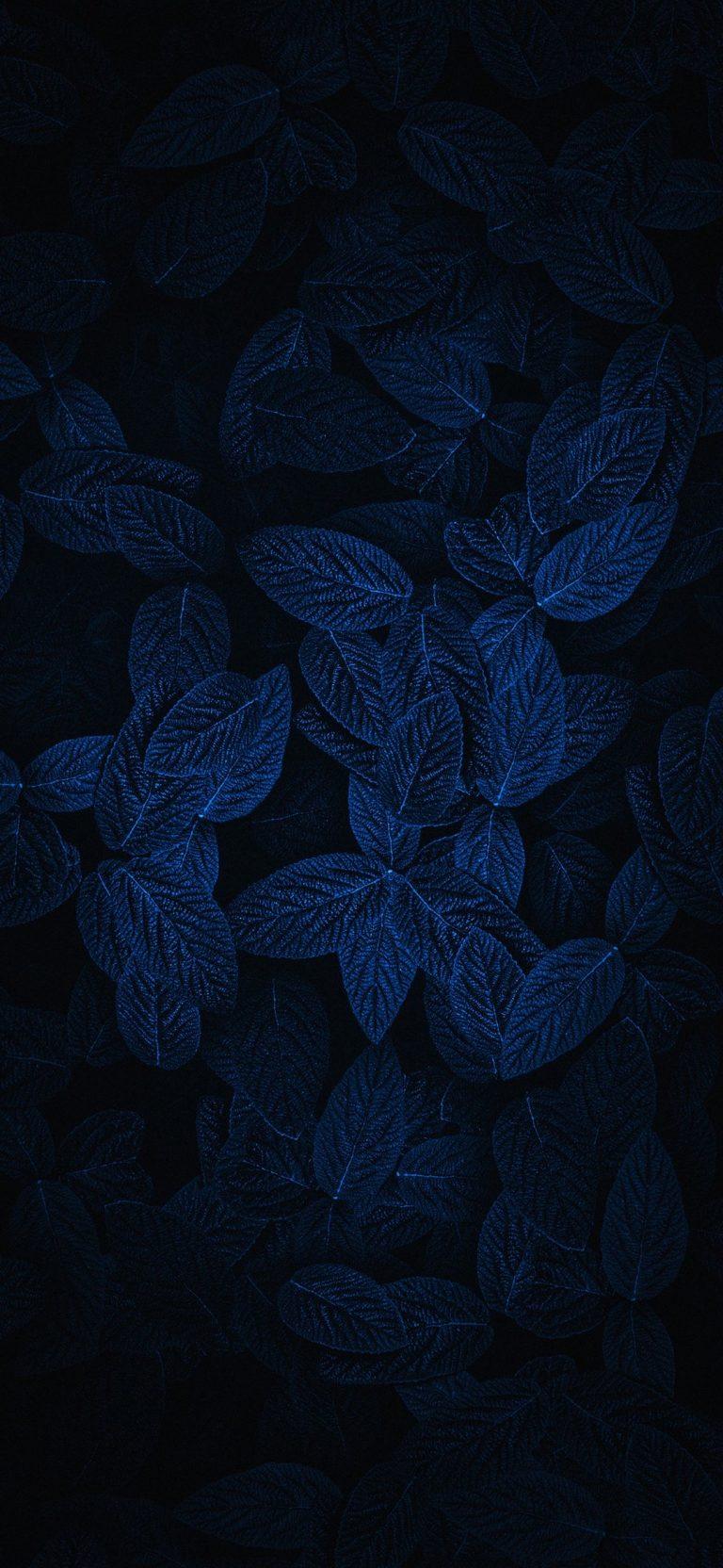 768x1664 High Resolution True 4K Mobile Wallpaper Download Free