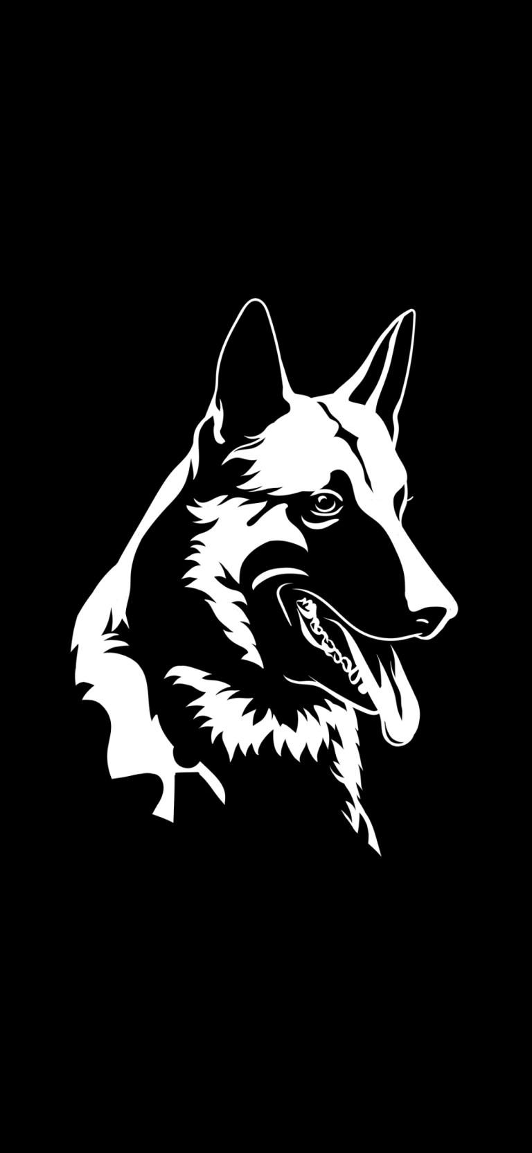 768x1664 Malinois Dog Dark Black and White Samsung Galaxy Wallpaper