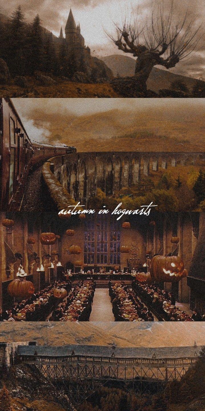 720x1440 Hogwarts Lockscreen. Harry potter wallpaper, Hogwarts, Harry potter universal