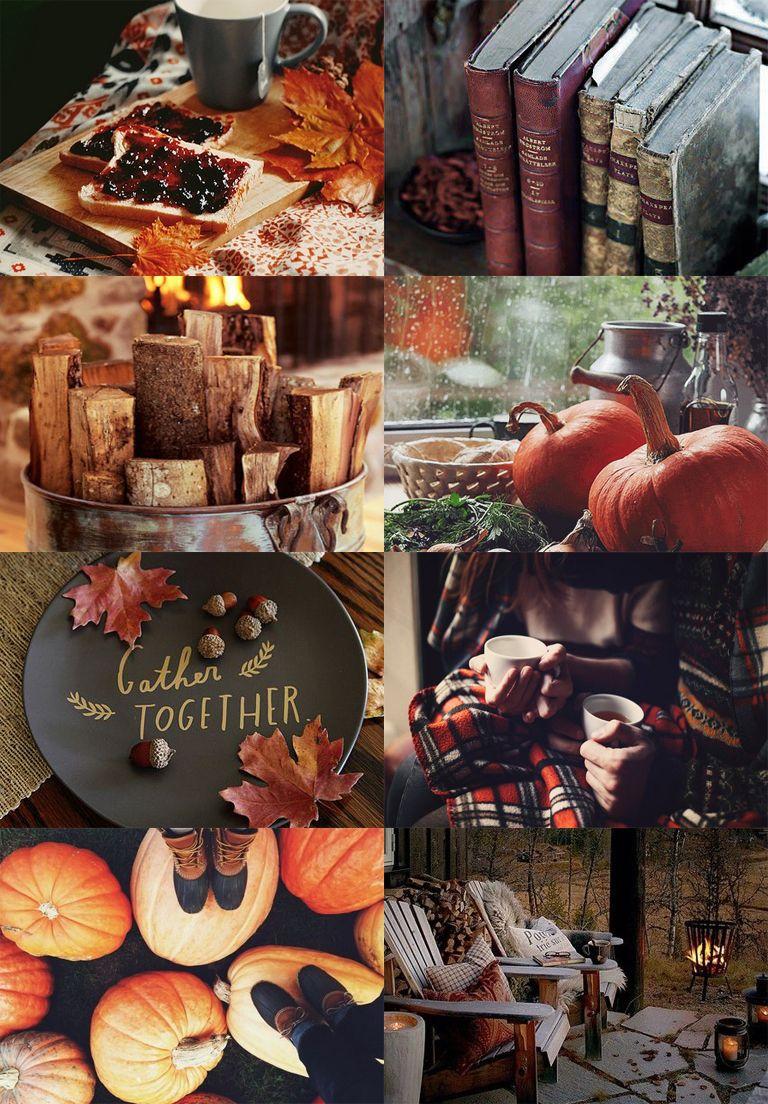 768x1104 Harry Potter Autumn Wallpaper