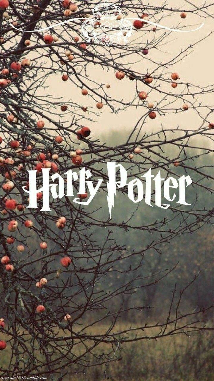 719x1280 Harry Potter Autumn Wallpaper
