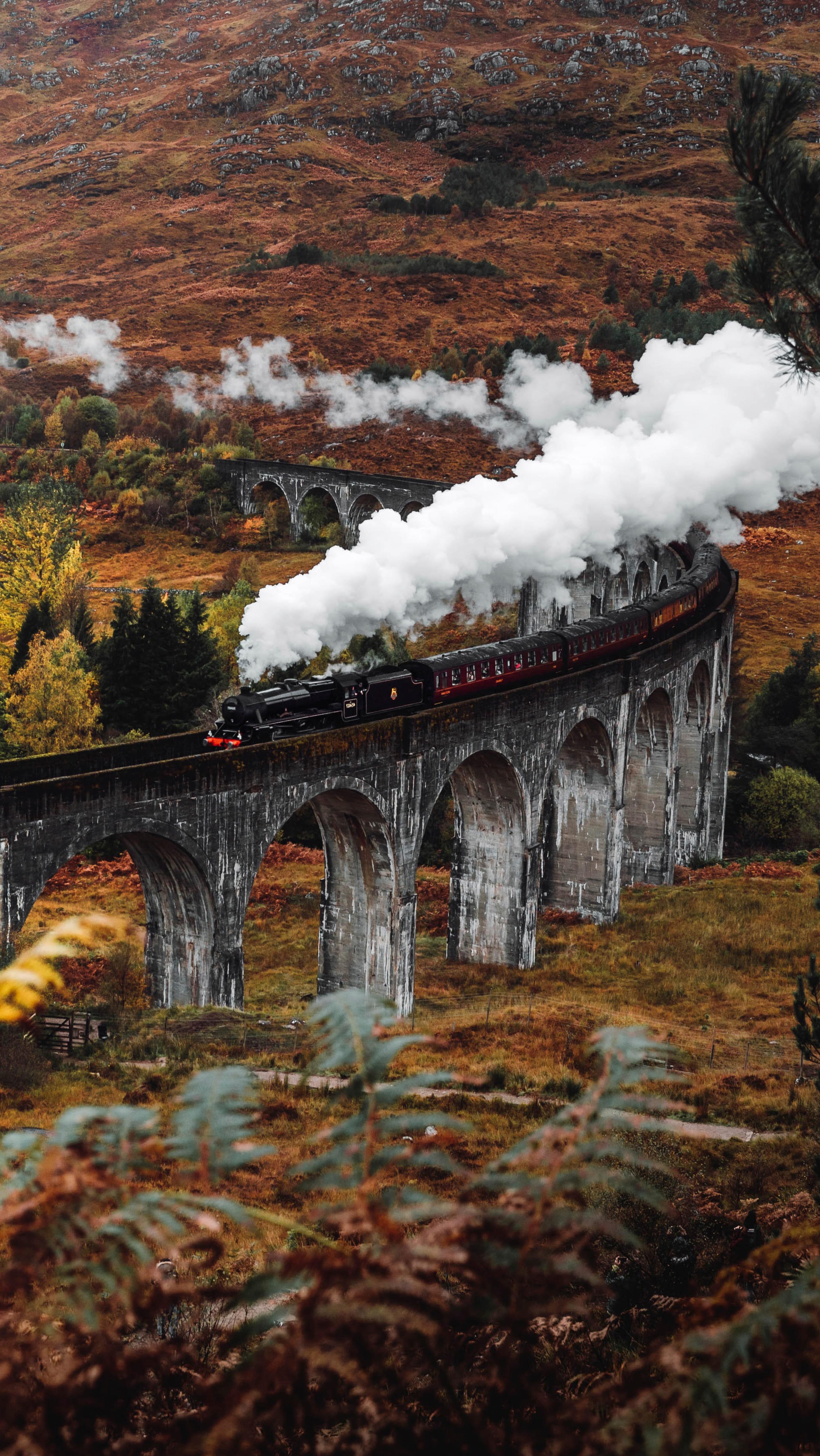 2920x5187 Harry Potter Universe Wallpaper 26