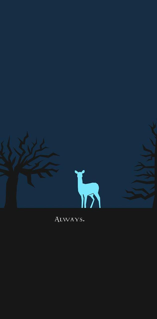 630x1280 Snape wallpaper wallpaper