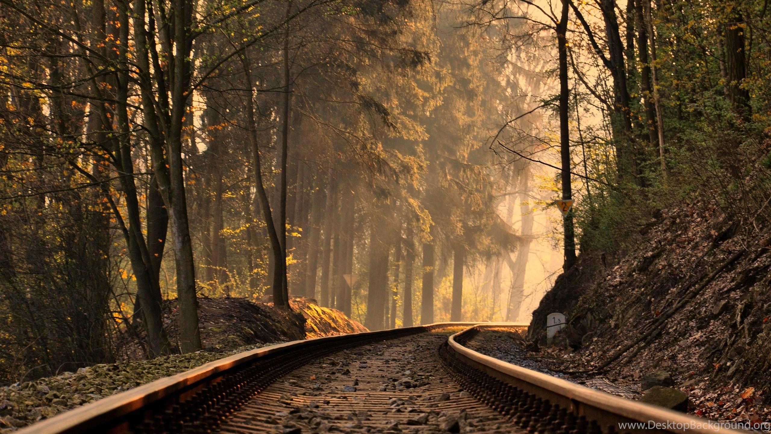 2560x1440 Train Track Wallpaper Free Desktop Background