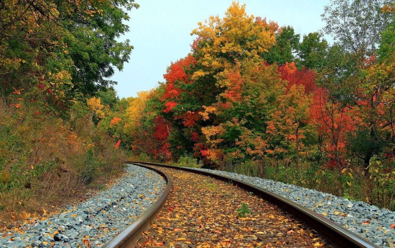 1280x804 Autumn Forest & Train Tracks wallpaper. Autumn Forest & Train Tracks